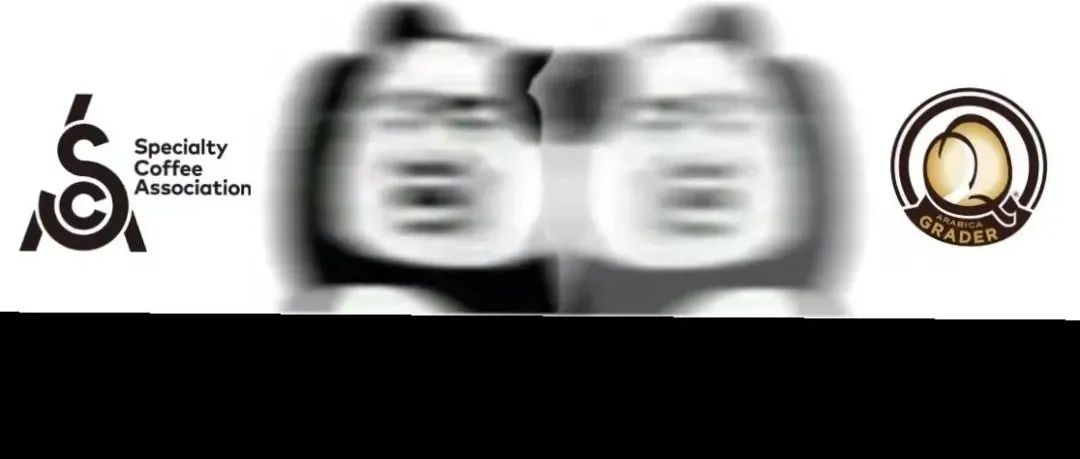 咖啡師有必要考證嗎？是要考SCA還是考Q-Grader呢？