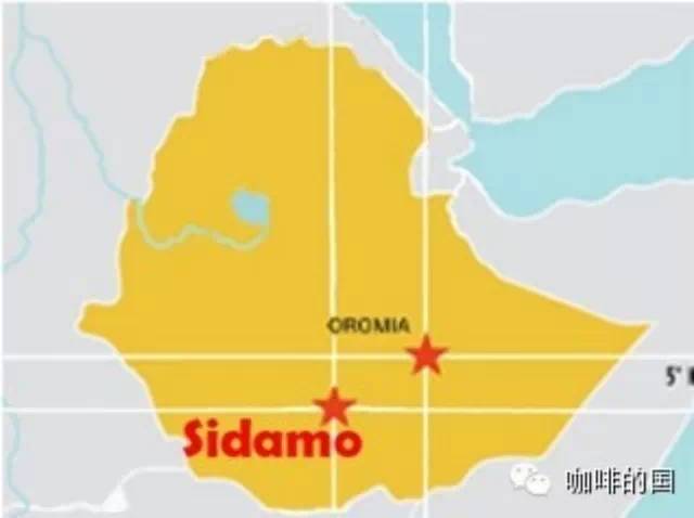 埃塞俄比亞的西達摩精品咖啡豆