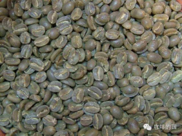 巴西干旱使咖啡產(chǎn)量損失嚴(yán)重  預(yù)計減產(chǎn)量為 ％