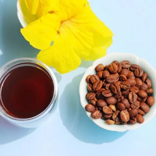 手沖好豆推薦>蜜處理塔比TABI，甜美無比！