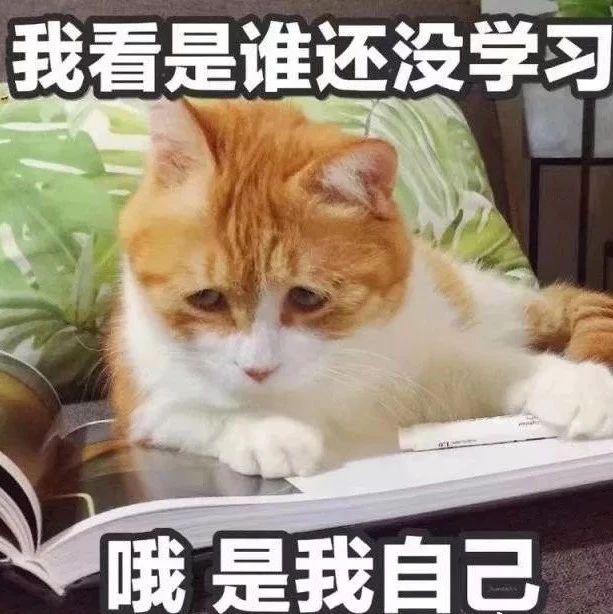 拉花終極感悟：拉花虐我千萬遍，我待拉花入初戀！