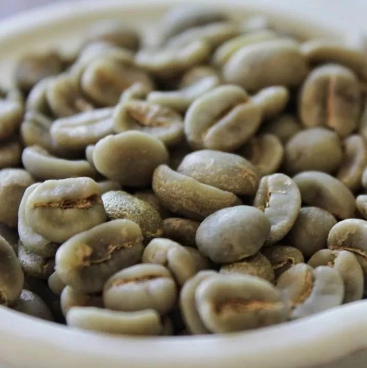 科普 | 咖啡中的綠原酸是什么？對健康有何益處？