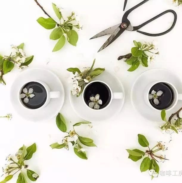 手沖技巧 ｜ 手沖咖啡偏淡和偏濃的修正方法