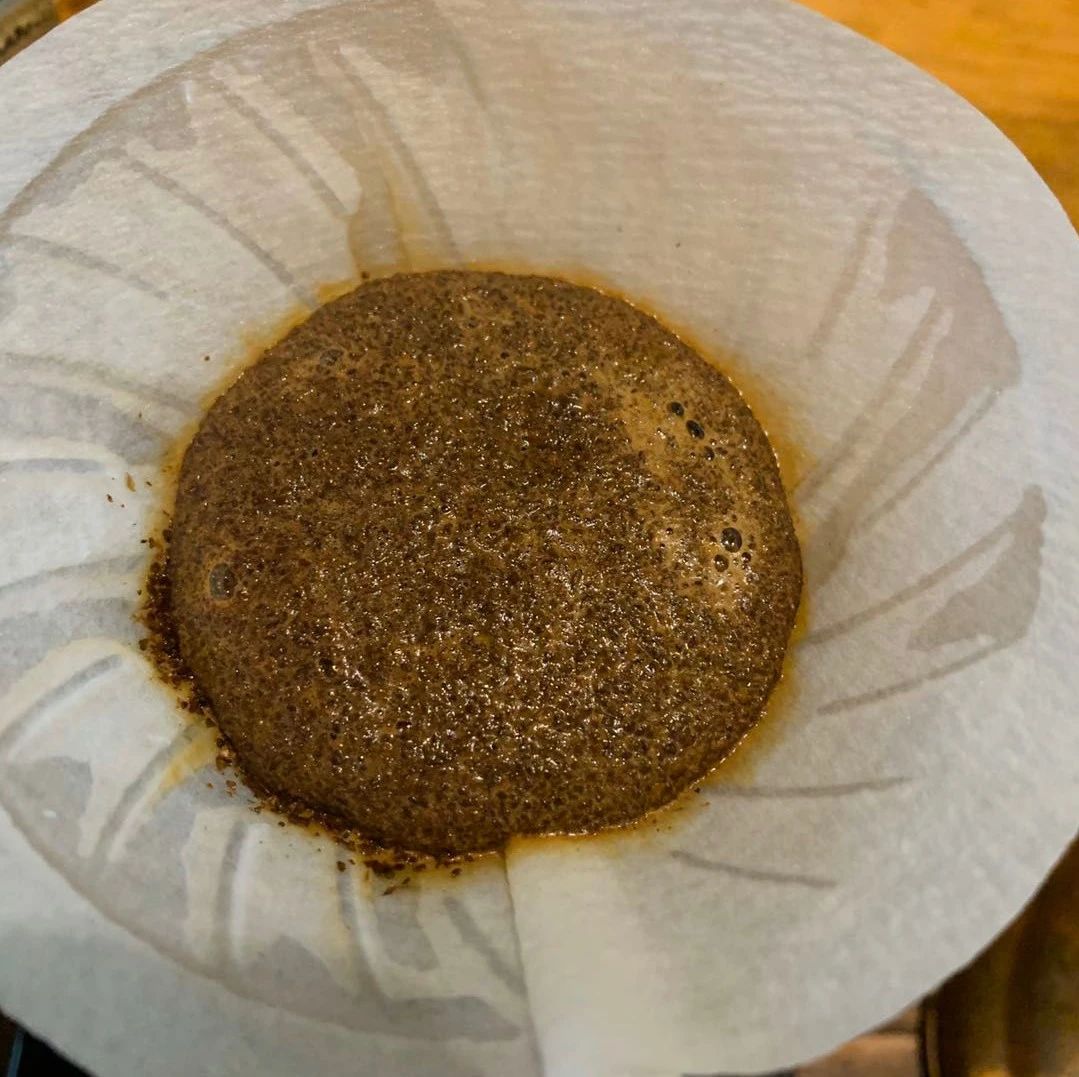 咖啡知識(shí) | 耶加雪菲孔加合作社日曬咖啡風(fēng)味特點(diǎn)