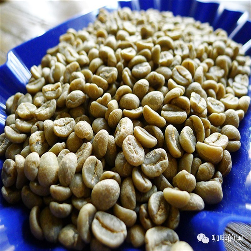 肯尼亞AA TOP奇異處理廠水洗咖啡豆