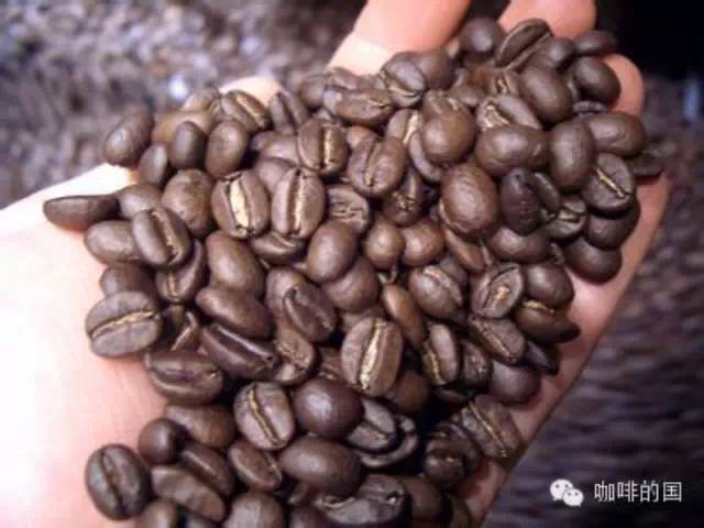 COE   一種精品咖啡評級制度