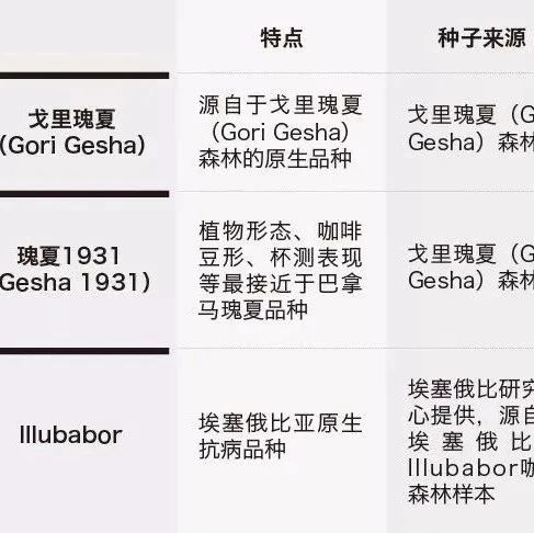 咖啡產(chǎn)區(qū)指南 | 瑰夏村莊園紅標批次和查卡批次有什么不一樣？