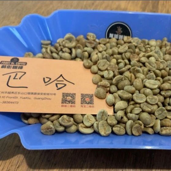 咖啡烘焙 |「哥斯達黎加音樂家系列巴哈」曲線分享