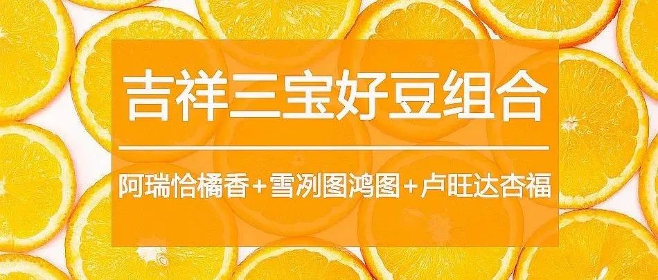 春節(jié)后上班福利> 折購吉祥三寶好豆組合，手沖咖啡控都愛喝！