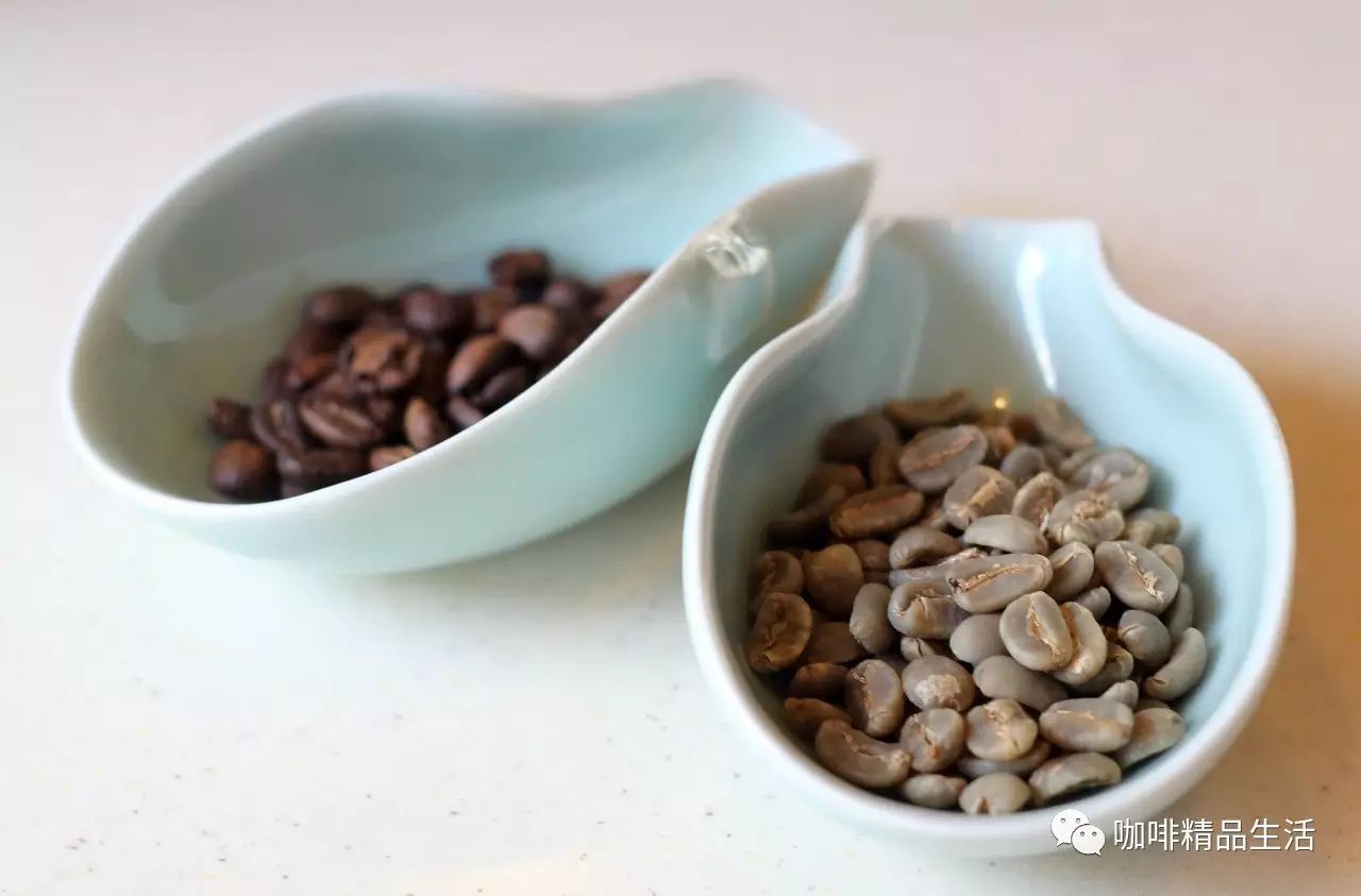 云南咖啡生豆賽結(jié)果出爐，冠軍豆超 分