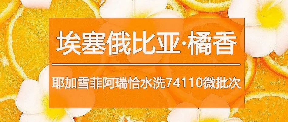 月壓軸好豆 . 折搶購(gòu)>手沖咖啡控看就入手！