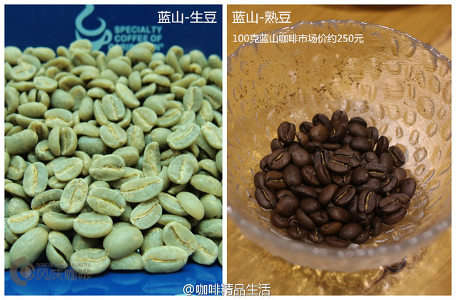 有獎活動：送價值超過千元的藍山咖啡