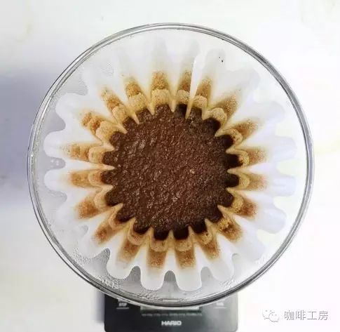 【技術(shù)貼】如何做好悶蒸呢？手沖咖啡正確悶蒸的方法