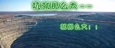 咖啡師：太焦慮了，狗沒有我這么累！！