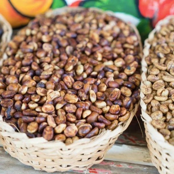 咖啡干貨 | 蜜處理過(guò)程步驟及其風(fēng)味表現(xiàn)