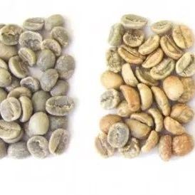 咖啡烘焙 | 為什么淺烘焙花果香氣很明顯？