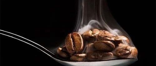 怎么養(yǎng)，養(yǎng)多大？養(yǎng)豆的科學(xué)