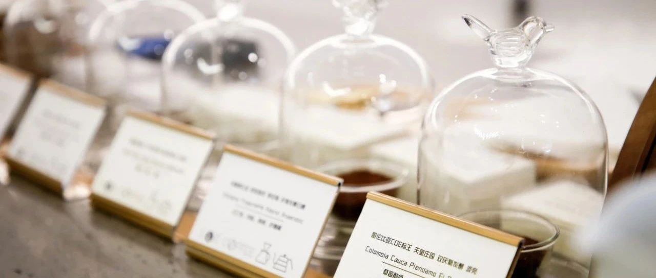 為什么我們會用很多詞語來描述風味？