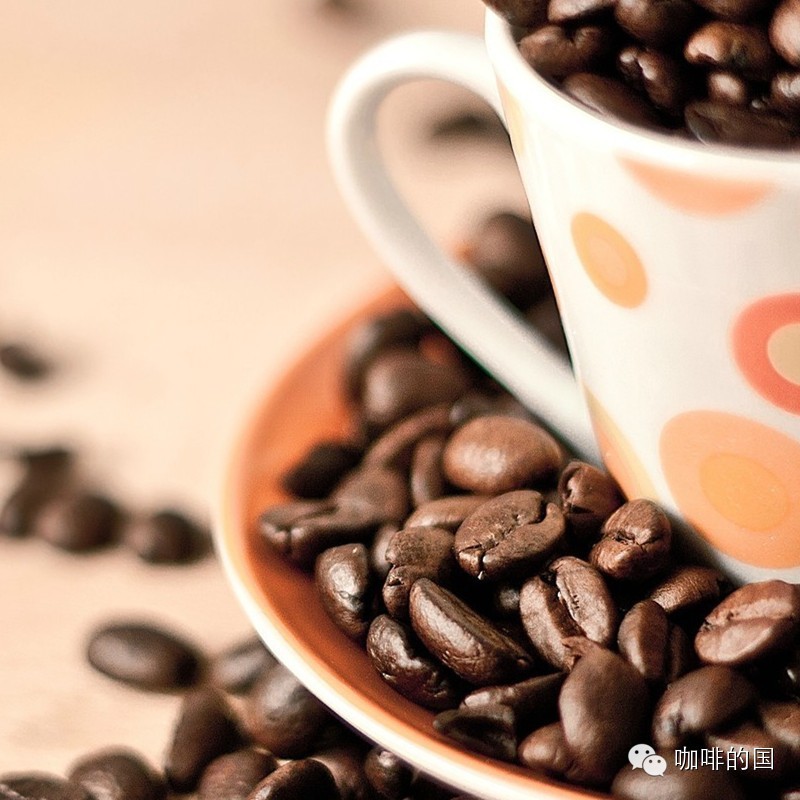 只要十步提升你的嗅覺  離咖啡師再進一步