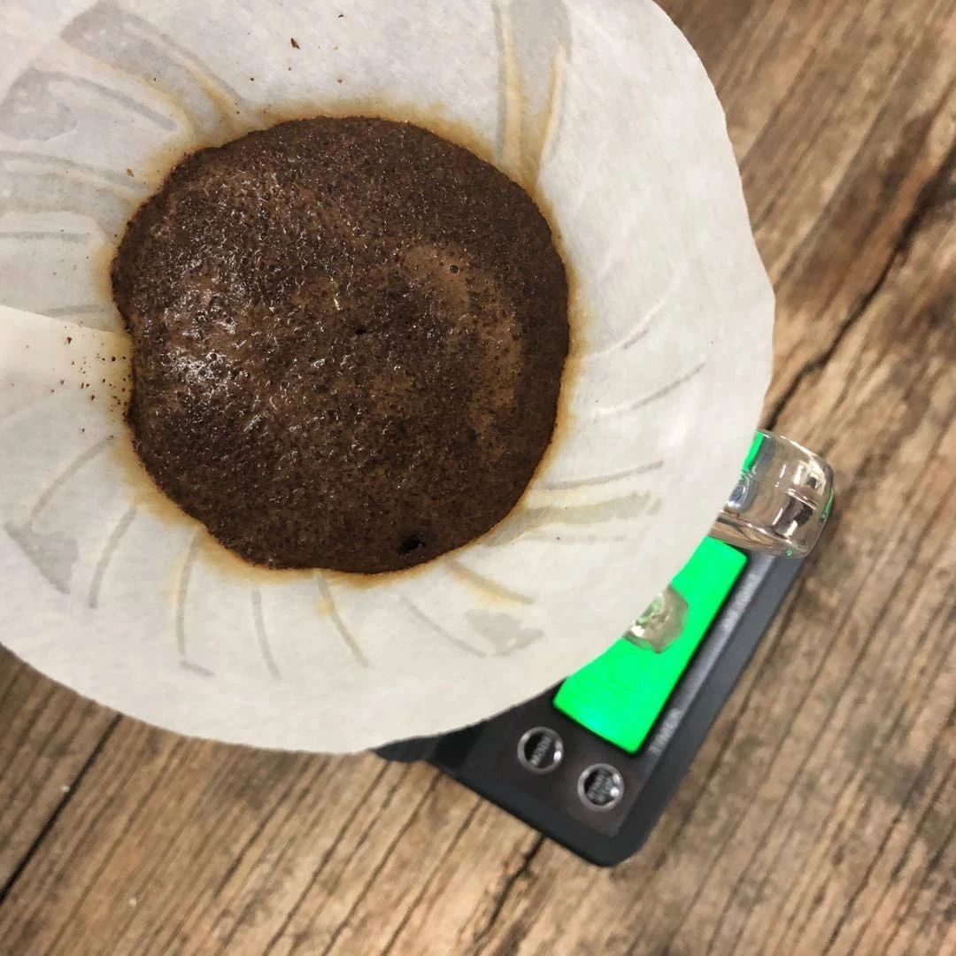 咖啡沖煮實驗室 |肯尼亞撒西尼莊園AA與PB風(fēng)味對比