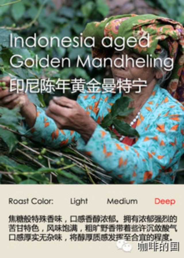 印尼蘇門答臘島曼特寧知識(shí)普及