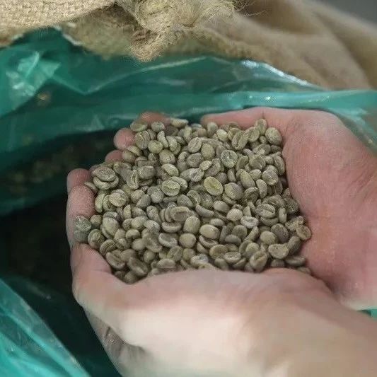 如何購買上等生豆？咖啡粉的新鮮度怎么看？