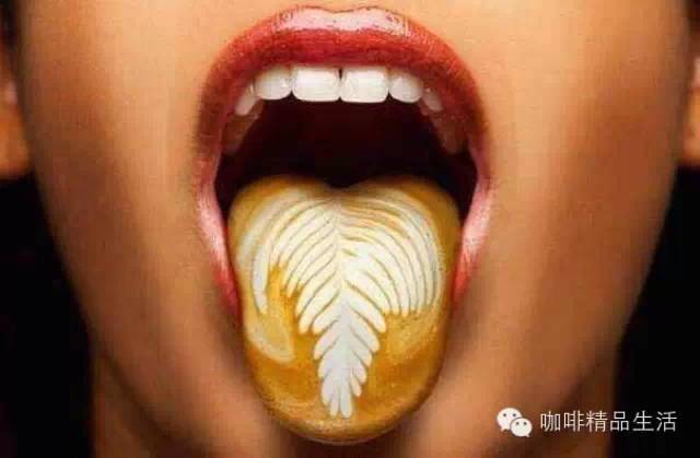 咖啡發(fā)燒友的大癥狀，未看完已笑噴