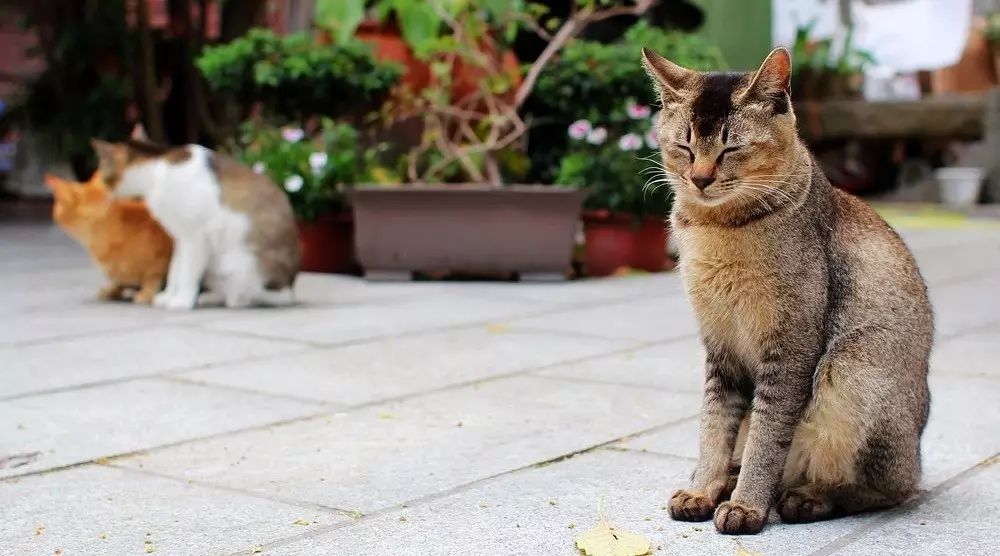 咖啡圈潛規(guī)則