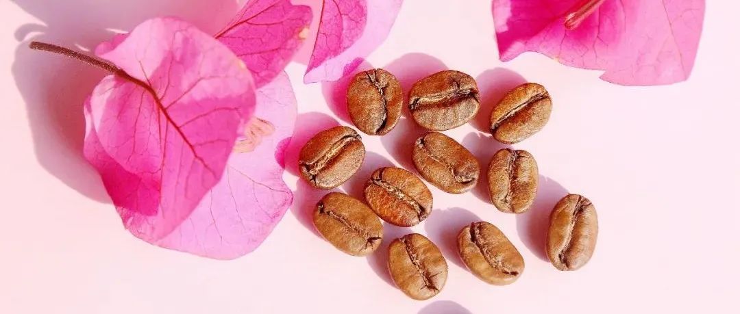 你喝過蜜處理粉波旁嗎？(限時(shí) 折嘗鮮)