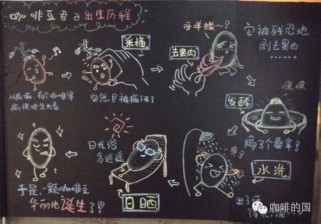 兩張圖告訴你咖啡是怎么煉成的。。