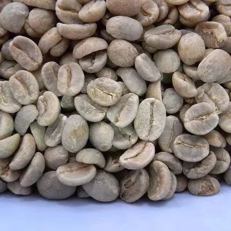 咖啡知識 |   如何區(qū)分硬豆＆軟豆？