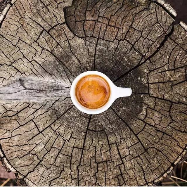 這篇文章感動了億萬人，看完請分享