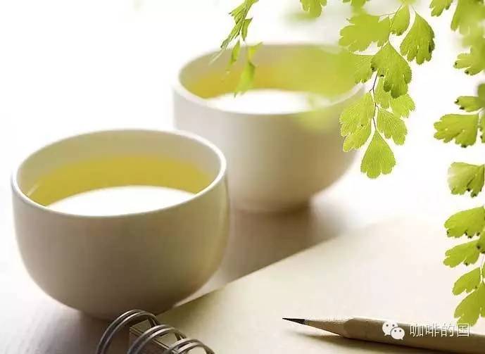 早晨第一杯喝什么，咖啡還是茶？