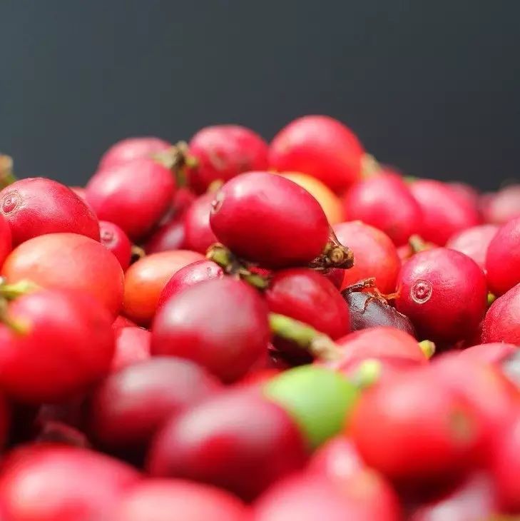 臺灣咖啡峰會行程公告，你的伙伴已搶先報名！