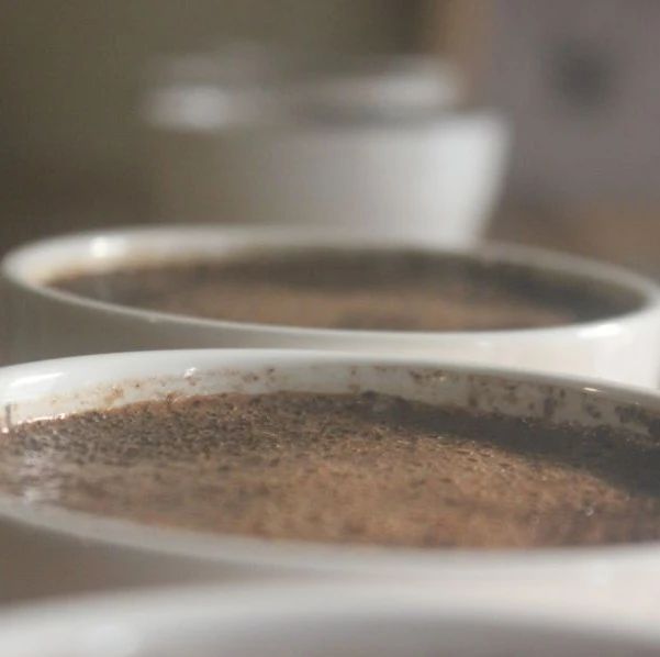 咖啡入門(mén)級(jí)干貨 | 新鮮度是怎么影響咖啡味道的？