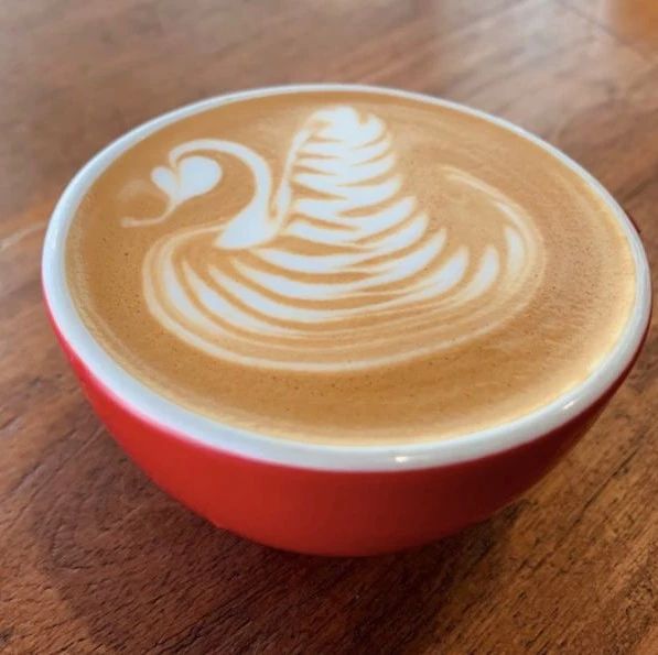 咖啡拉花 | 咖啡新手如何拉一只單翅天鵝？