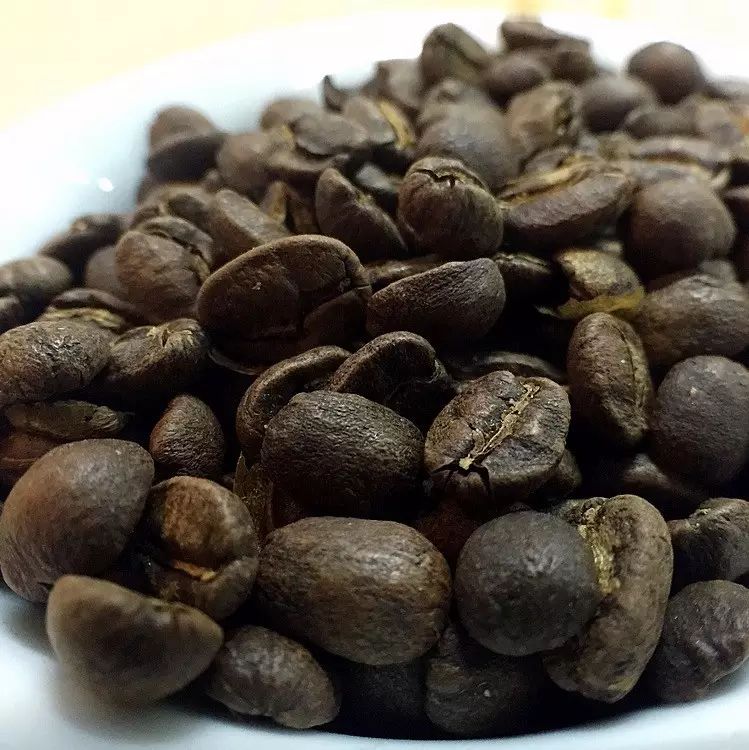 女神沖煮總決賽指定豆：巴拿馬·唐佩佩·水洗卡杜艾