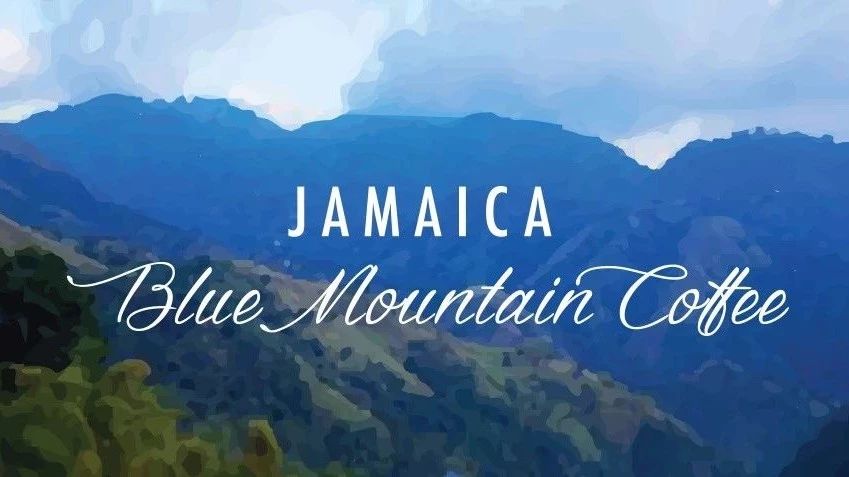 咖啡中的“過氣網(wǎng)紅”——藍(lán)山咖啡