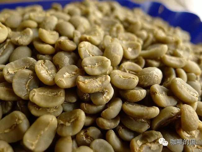 蘇門(mén)答臘島塔瓦湖 目綠寶石曼特寧咖啡豆