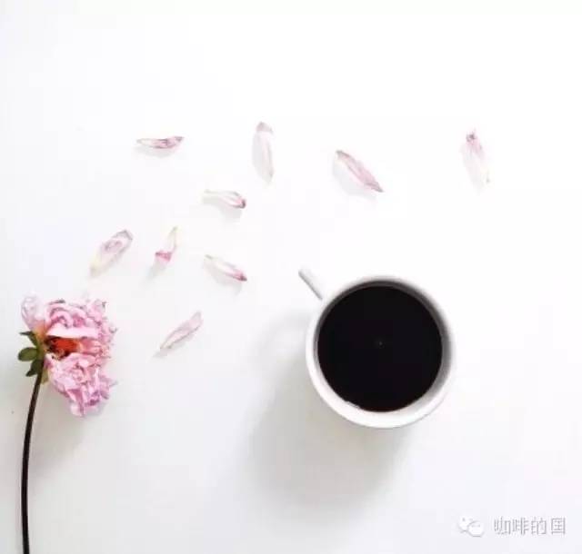 六步驟學(xué)會(huì)品嘗及鑒定咖啡