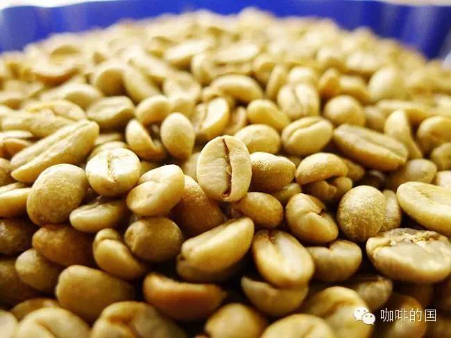 日曬耶加雪菲  Konga孔加合作社 年當(dāng)季咖啡新豆