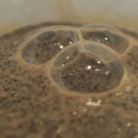 咖啡沖煮實驗室 | 小燭莊園水洗瑰夏怎么沖？