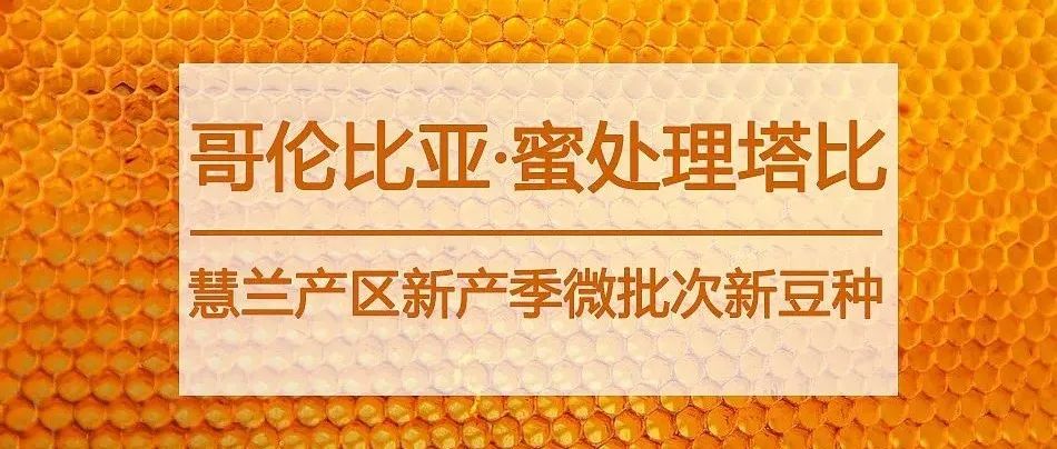 哥倫比亞新豆種登場(chǎng)，你一定沒喝過~