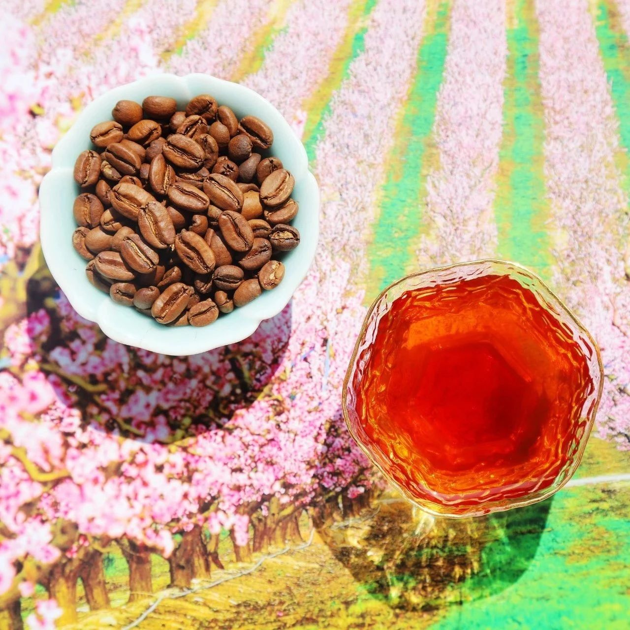一杯瑰夏 . 元？我當(dāng)然要天天喝！