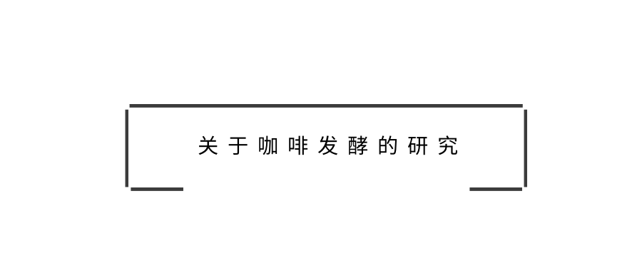 關(guān)于咖啡發(fā)酵的研究，不是太多而是太少