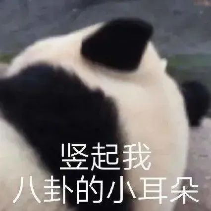 “?能讓你回頭的咖啡館，都有哪些吸引你的地方？”