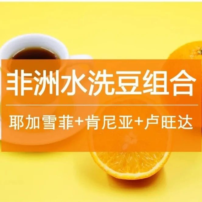 特價組合勁省  元！非洲水洗豆，手沖咖啡控都喜歡！