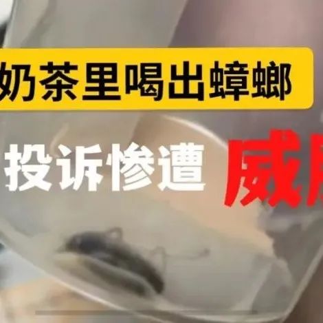 冒牌COCO奶茶喝出蟑螂！店家回應(yīng)“塊給你做棺材本”？