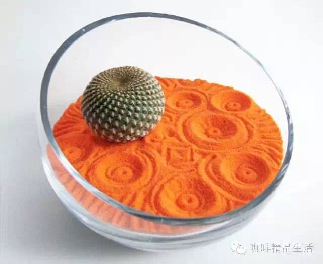 【精品】創(chuàng)意盆栽，用心造境