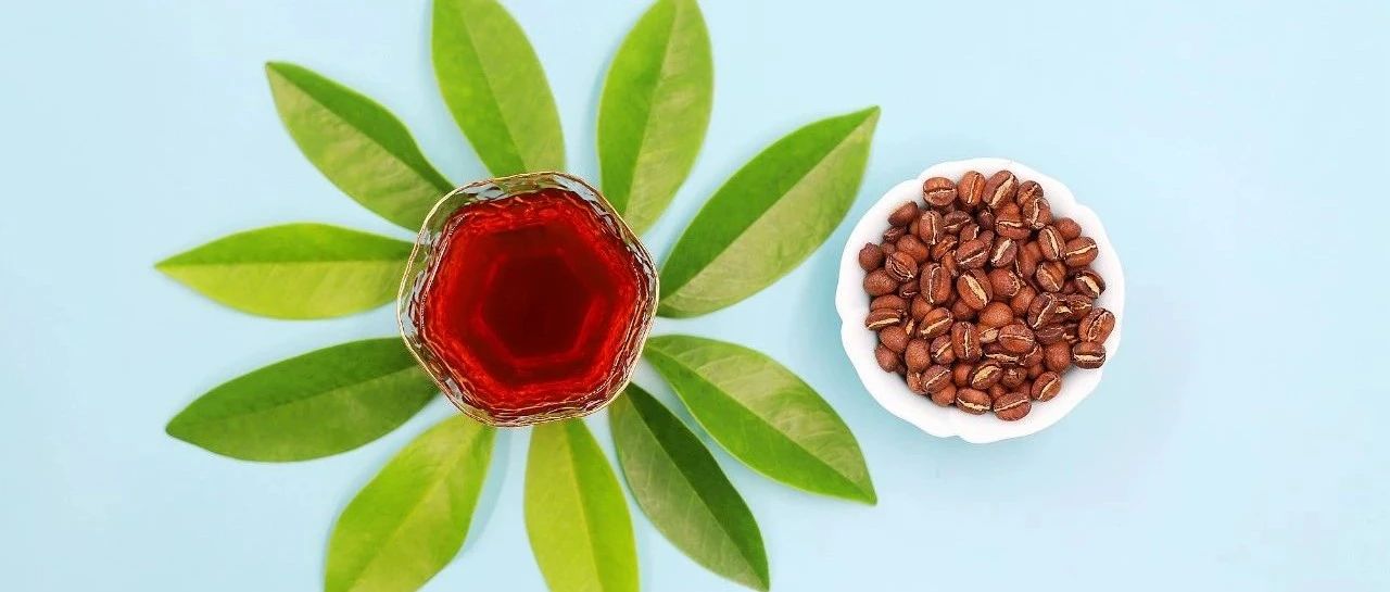 抹茶控看過來>這杯手沖咖啡你會(huì)喜歡~
